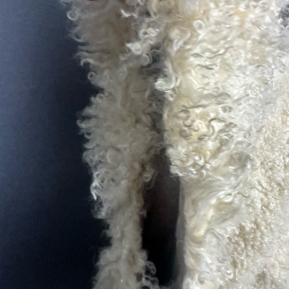 Adolfo Leigh’s Mohair Alpaca Vest Satin Lined Cream S - Picture 6 of 8